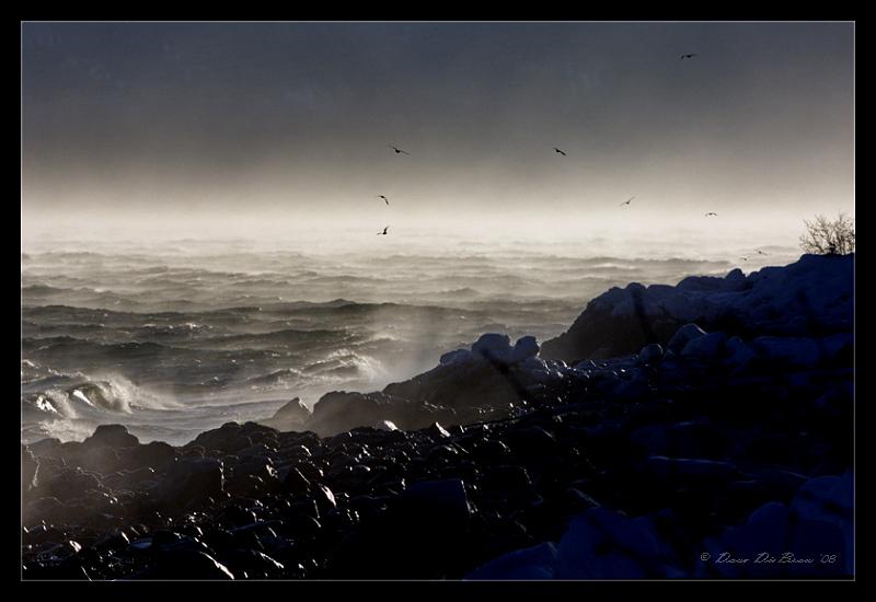 wind n surf-posted_1373.jpg - Wind n Surf...Alaskan style